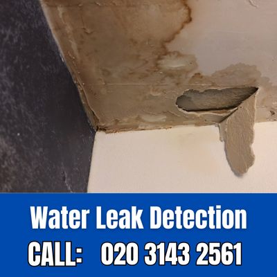 Expert Water Leak Detection Services in Downside | Downside Leak Detection